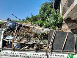 Types of Items We Remove From Your Property in Ankeny, IA